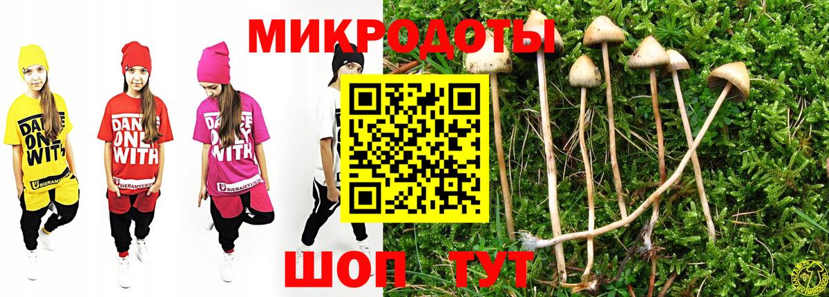 Галлюциногенные грибы мухоморы Грозный