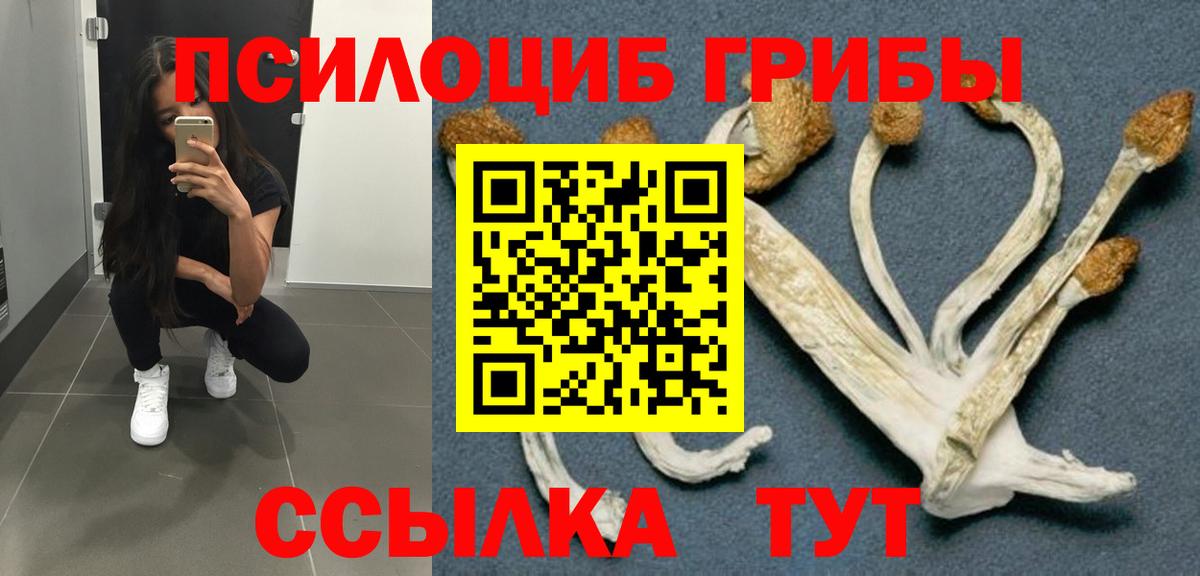 Грозный  Галлюциногенные грибы ЛСД  Вход с VPN 